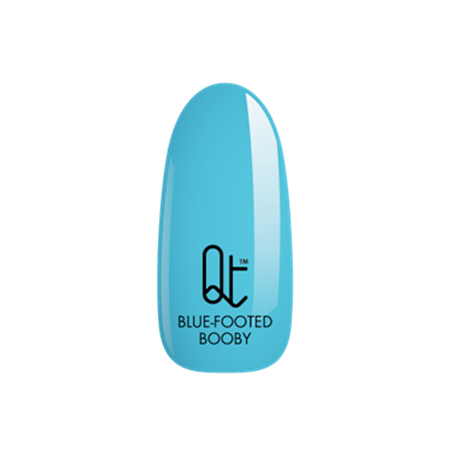 #14 Blue-footed Booby Qttie Gelly Color Gel 7ml